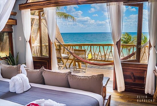Tropical Sun View